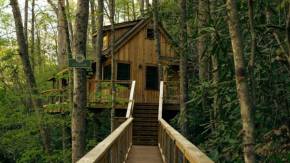 The Cedar in Treehouse Grove at Norton Creek